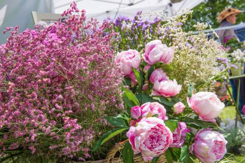 Tegernseer Garten- & Blumentage image